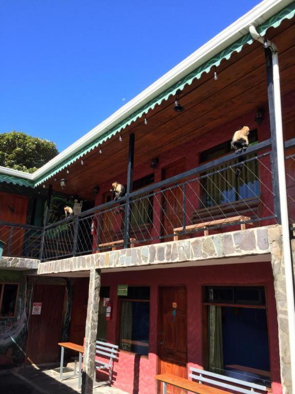 Manakin Lodge, Monteverde Luaran gambar